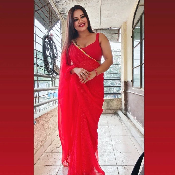 Priya gamre in red sleeveless saree
